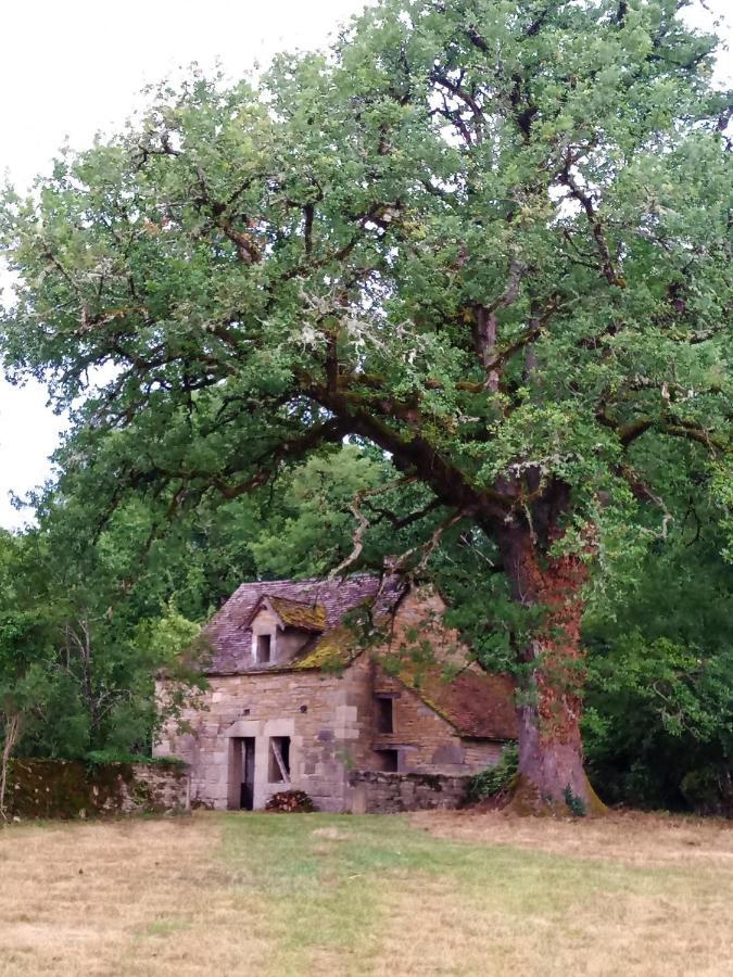 مبيت وإفطار Ginals Les Granges De L Abbaye المظهر الخارجي الصورة